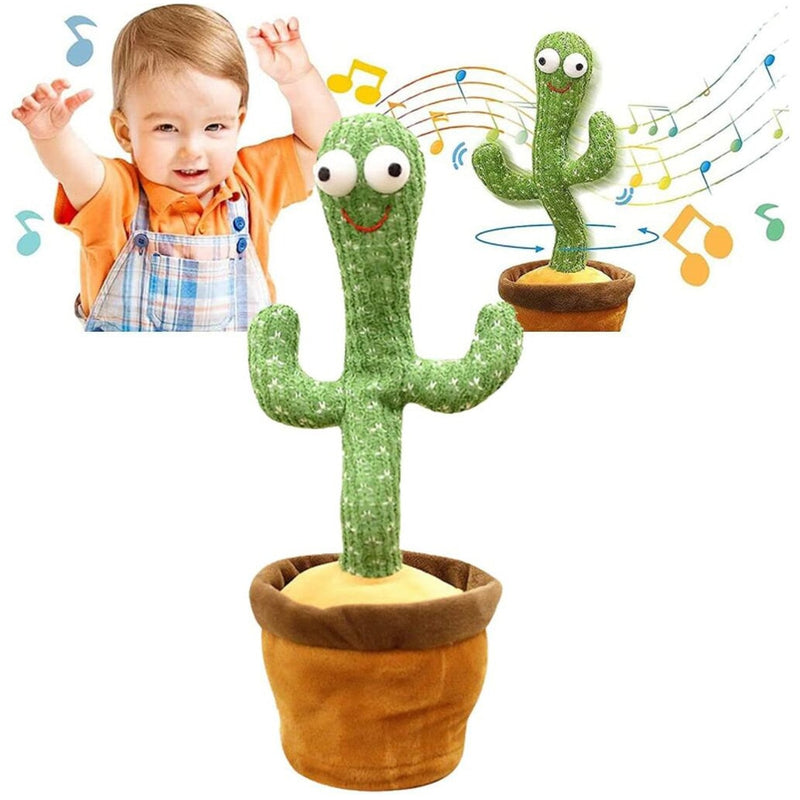 Cactusdance - O Cacto Dançarino NOVO